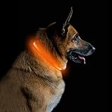 PetIsay Leuchthalsband Hund